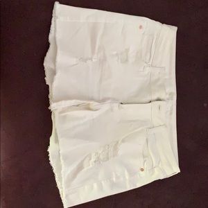 Arizona Jean Co. Shorts